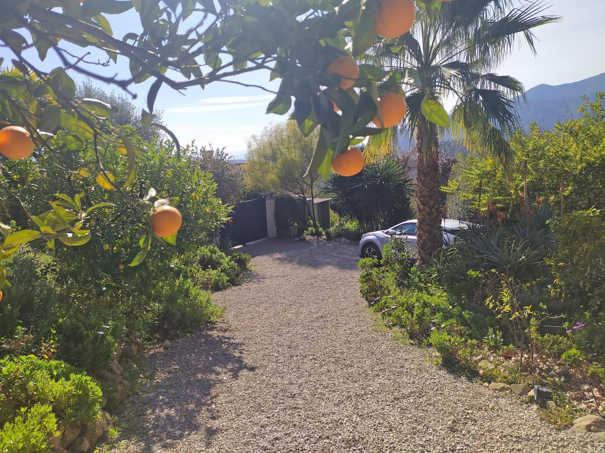 456 Chemin De La Pinede Apartment Menton Bagian luar foto
