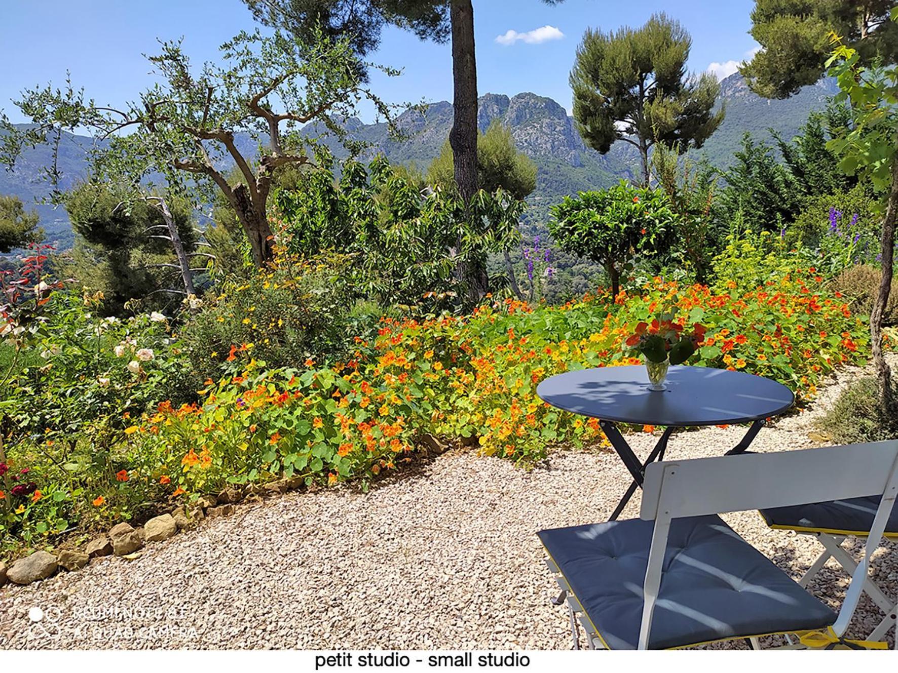 456 Chemin De La Pinede Apartment Menton Bagian luar foto