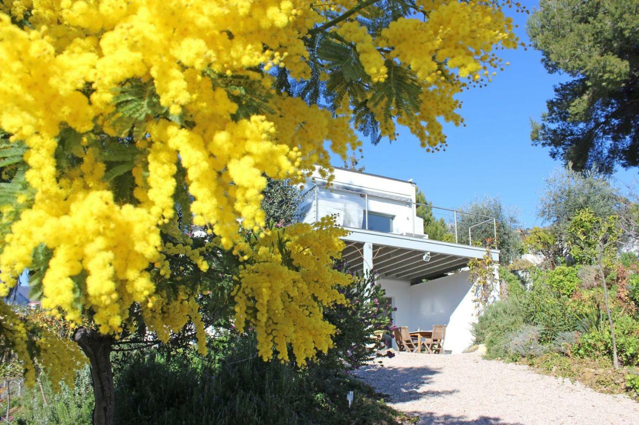 456 Chemin De La Pinede Apartment Menton Bagian luar foto